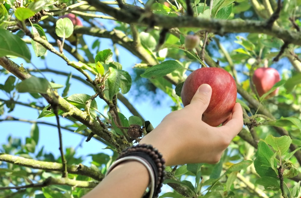 Simpele stapjes op weg naar een duurzamere wereld